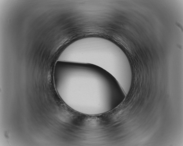 X0000096190595200801181010