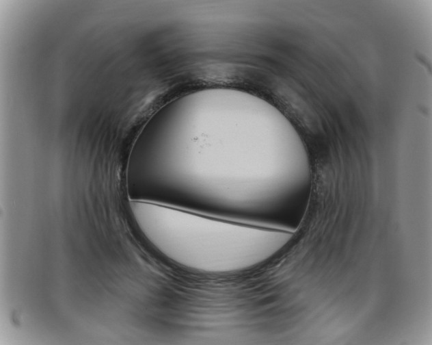 X0000096190596200801181010