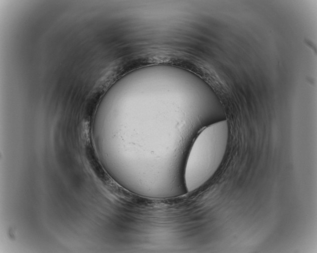 X0000096190598200801181010