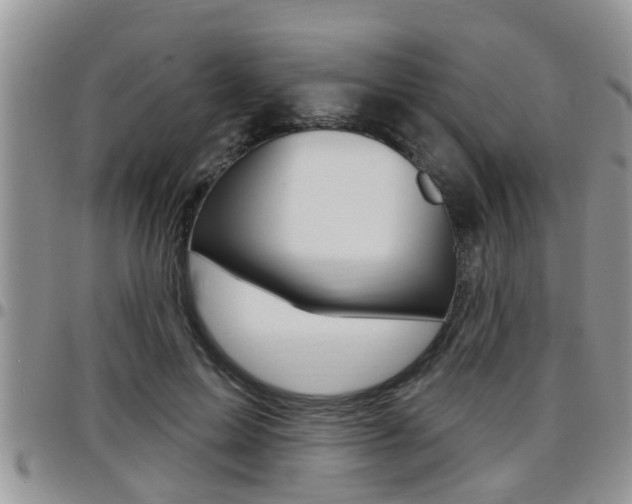 X0000096190599200801181010