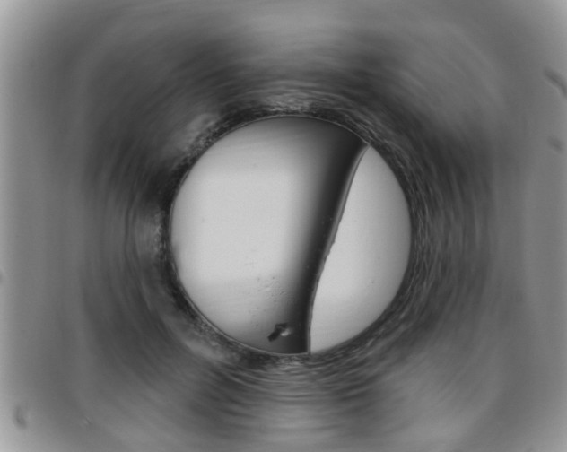 X0000096190600200801181010