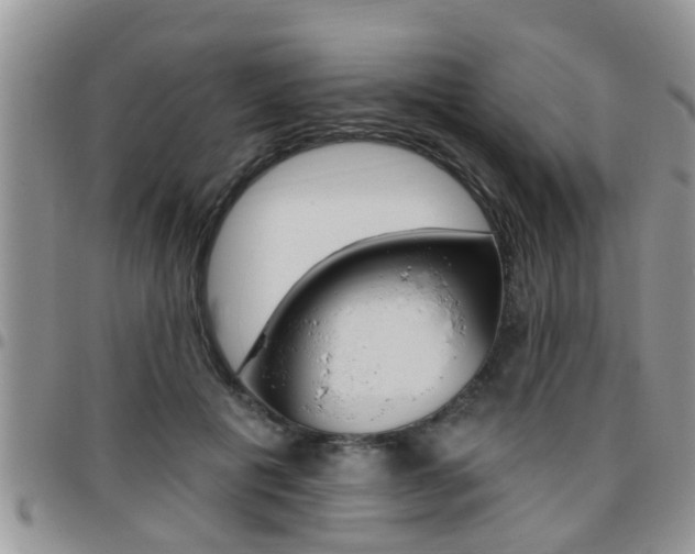 X0000096190601200801181010
