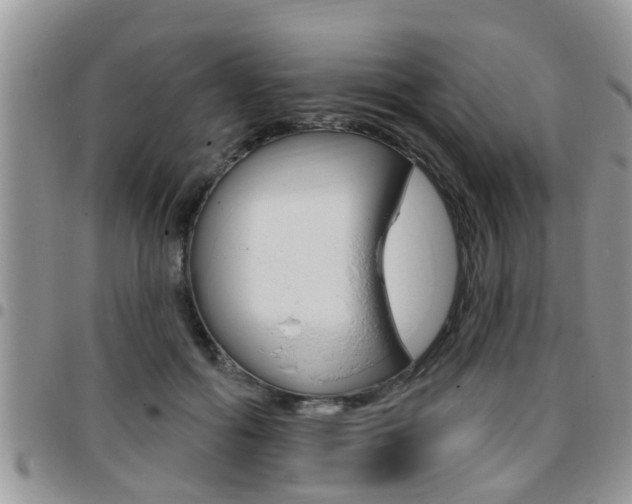 X0000096190602200801181010