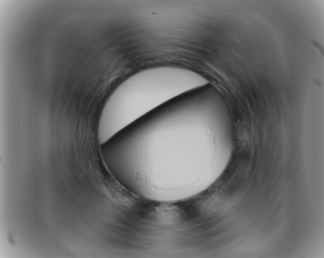 X0000096190603200801181010