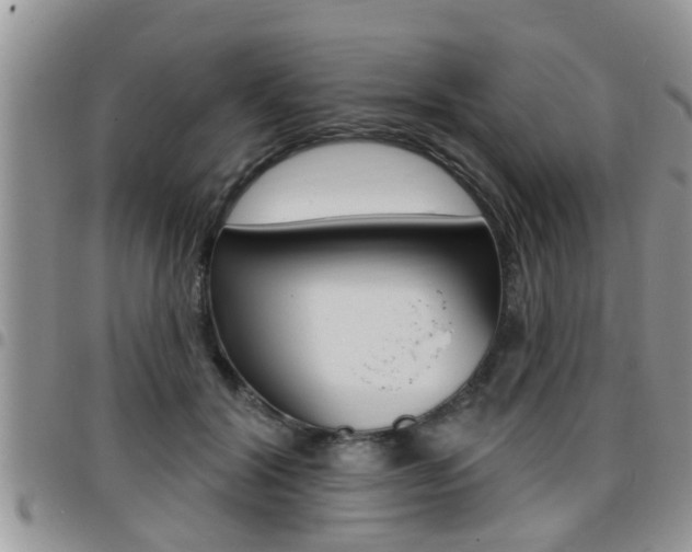 X0000096190604200801181010