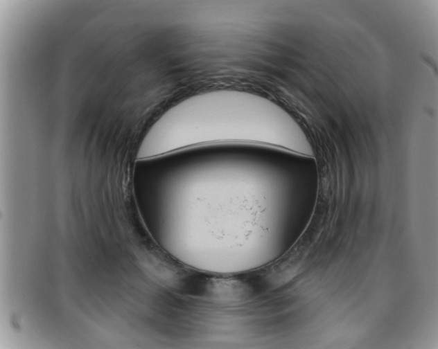 X0000096190605200801181010