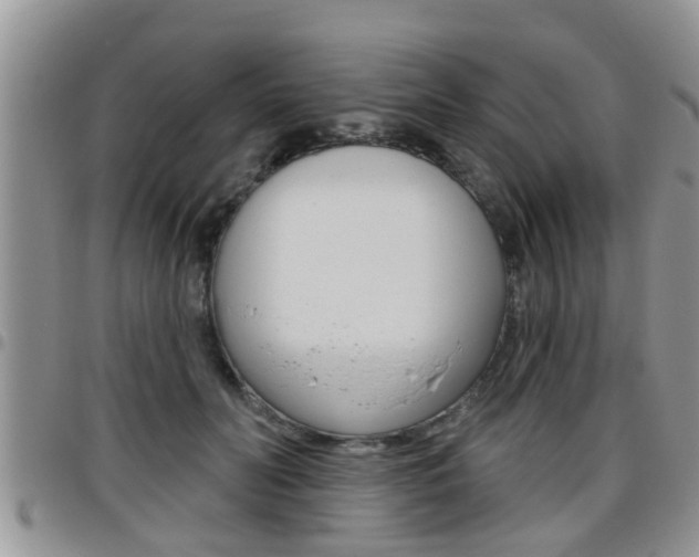 X0000096190606200801181010