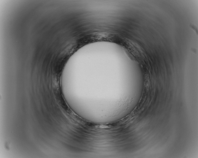 X0000096190607200801181010