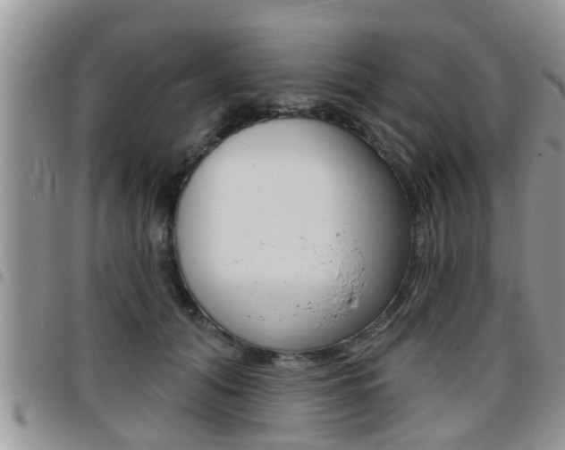 X0000096190608200801181010