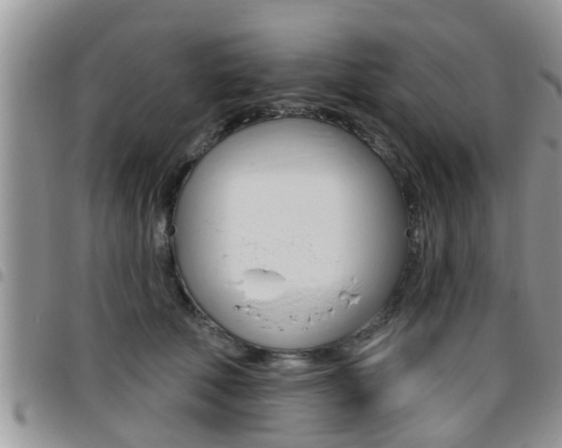 X0000096190610200801181010