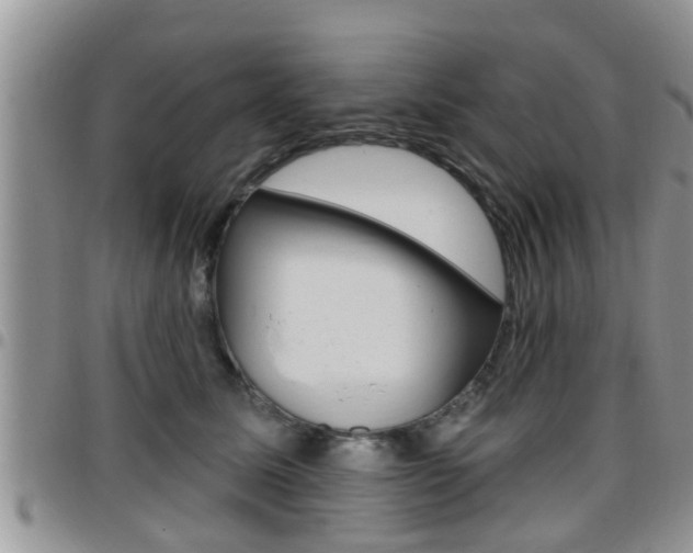 X0000096190611200801181010