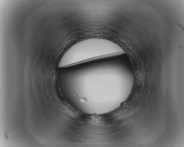 X0000096190612200801181010