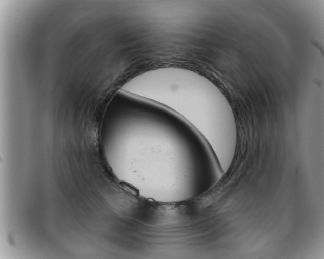 X0000096190613200801181010