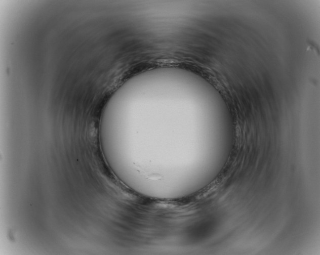 X0000096190614200801181010