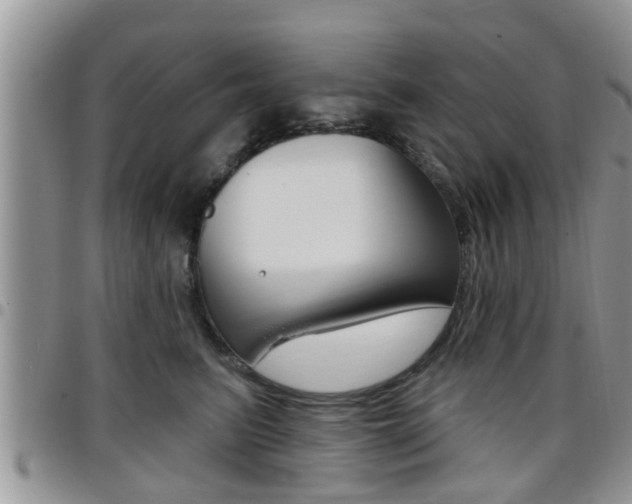 X0000096190615200801181010