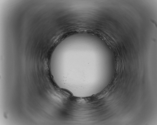 X0000096190616200801181010