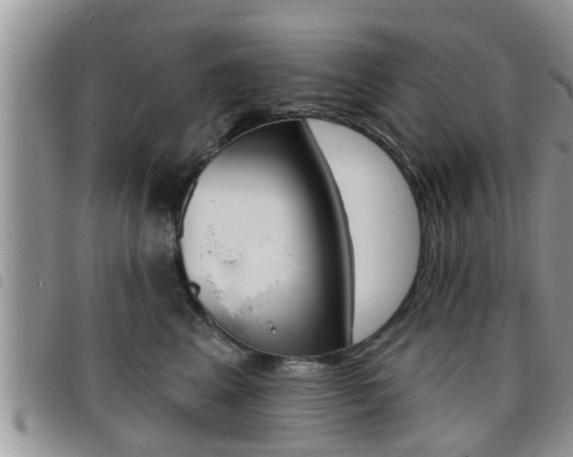 X0000096190617200801181010