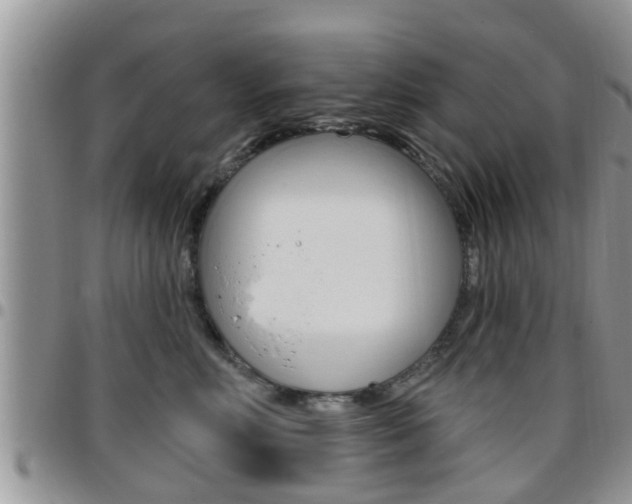 X0000096190618200801181010