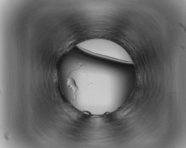 X0000096190620200801181010