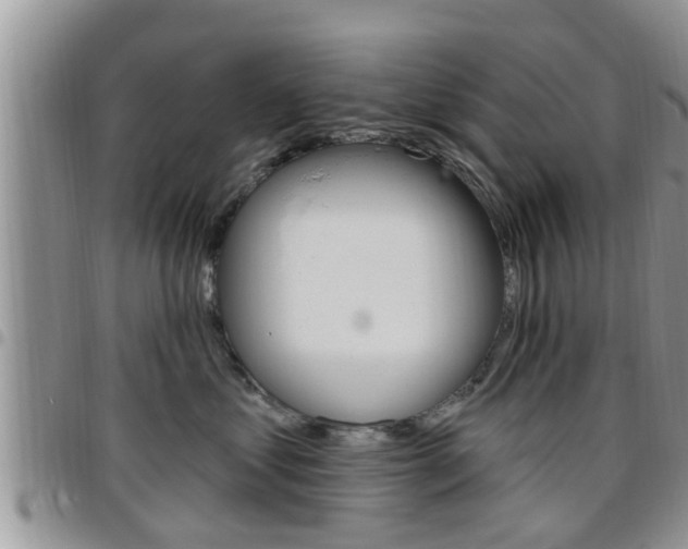 X0000096190621200801181010