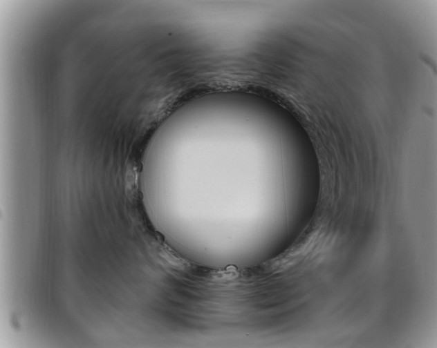 X0000096190624200801181010