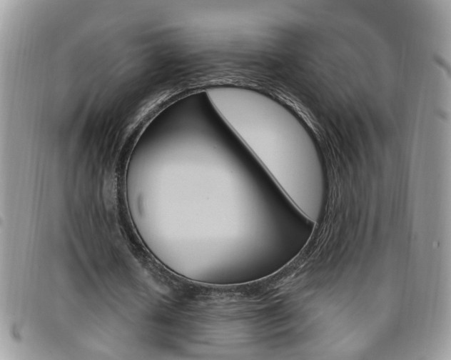 X0000096190626200801181009