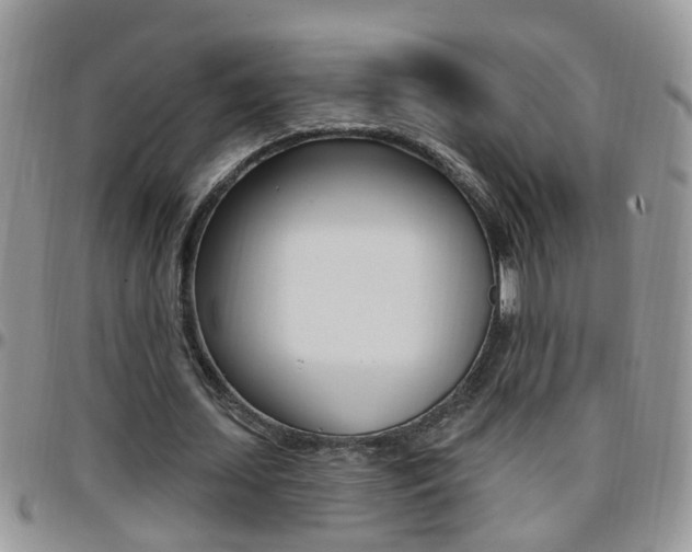 X0000096190627200801181009