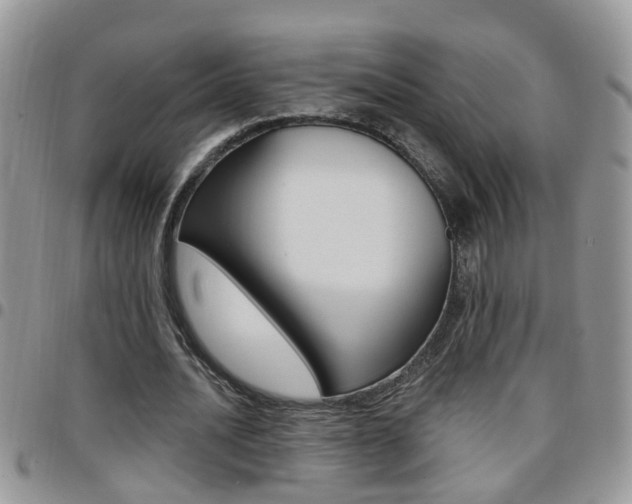X0000096190628200801181009