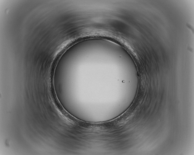X0000096190629200801181009
