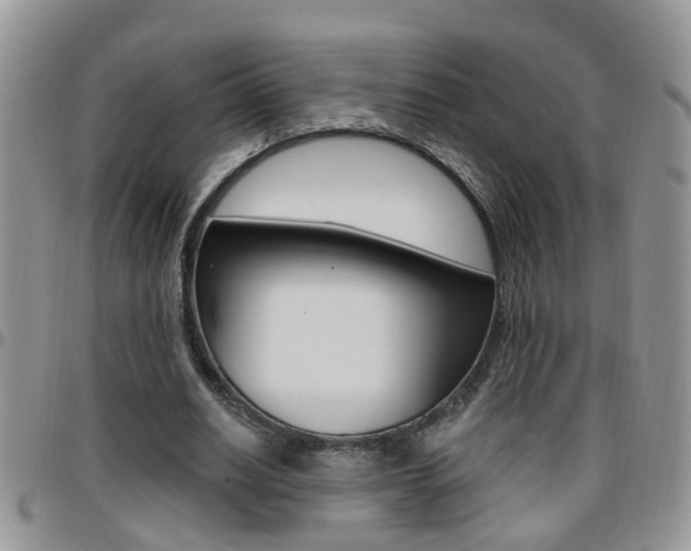 X0000096190630200801181009
