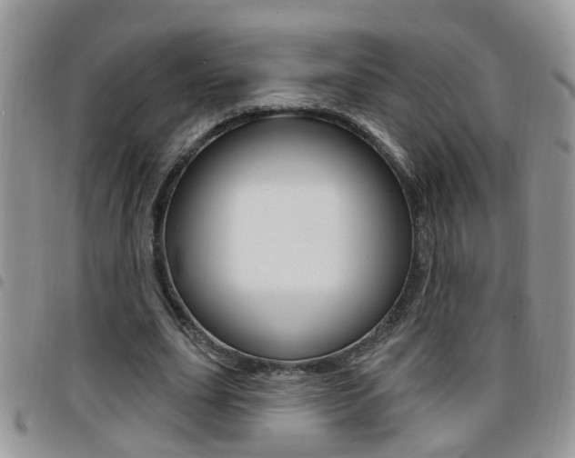 X0000096190631200801181009