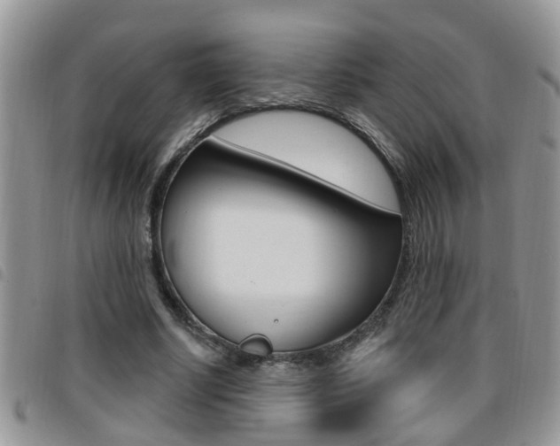 X0000096190634200801181009