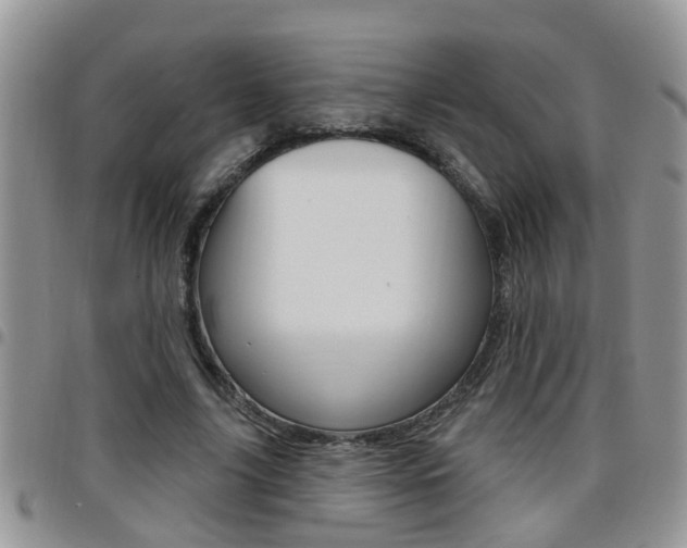 X0000096190635200801181009