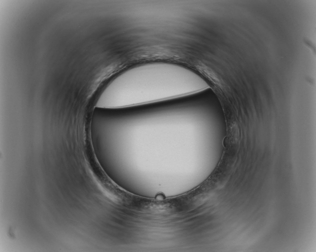 X0000096190638200801181009