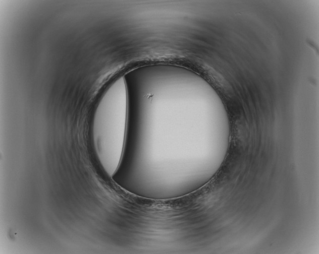 X0000096190640200801181009