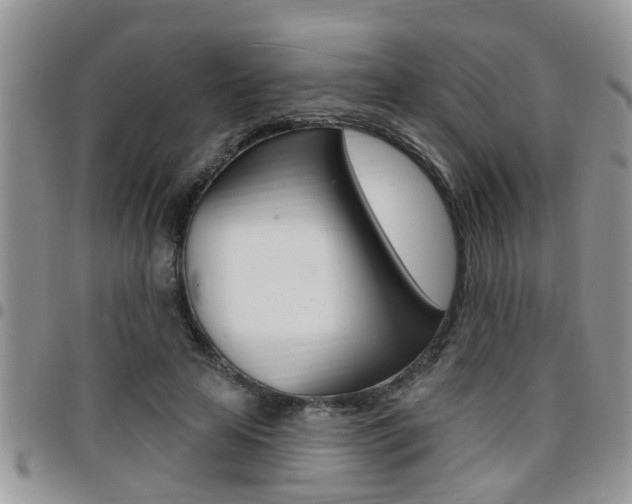 X0000096190641200801181009