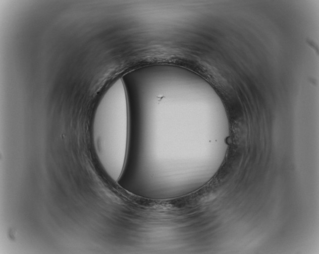 X0000096190642200801181009