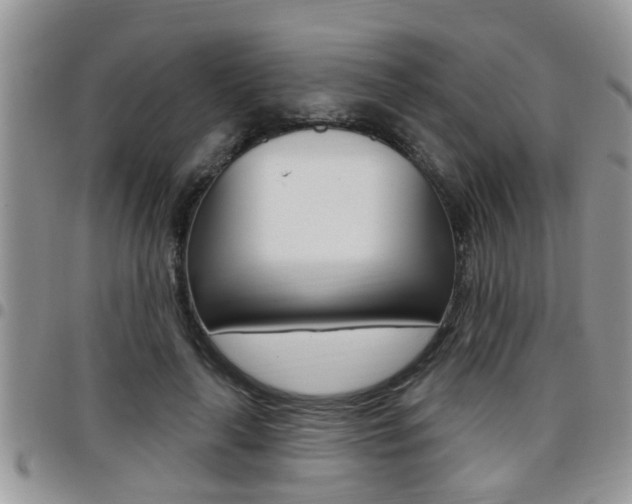 X0000096190643200801181009