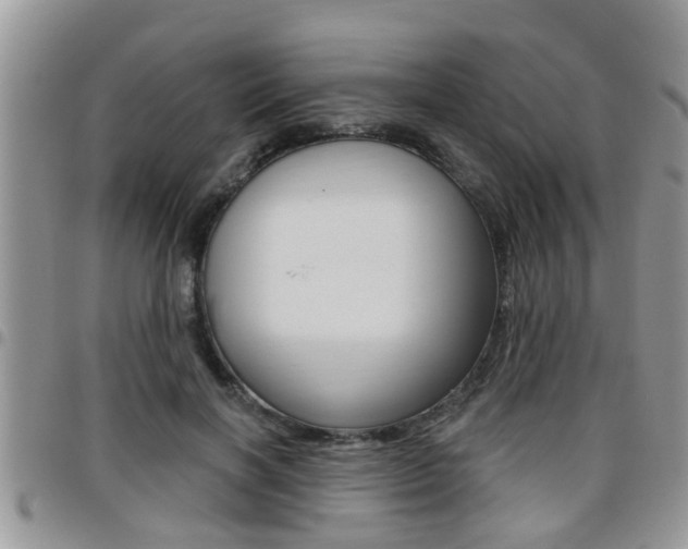 X0000096190646200801181009
