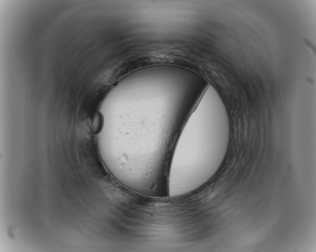 X0000096190649200801181009