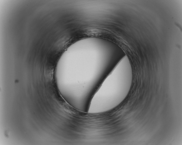 X0000096190652200801181009