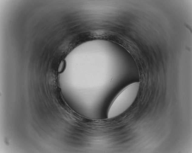 X0000096190653200801181009