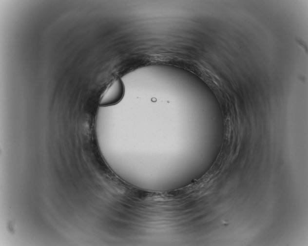 X0000096190655200801181009