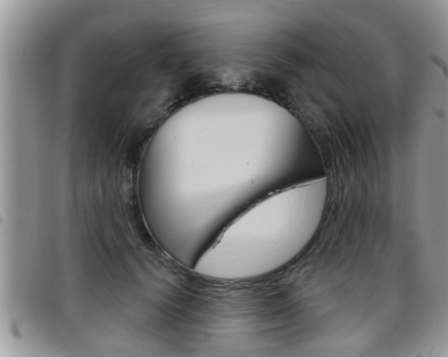 X0000096190656200801181009