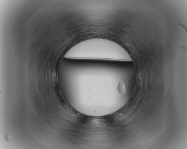 X0000096190657200801181009