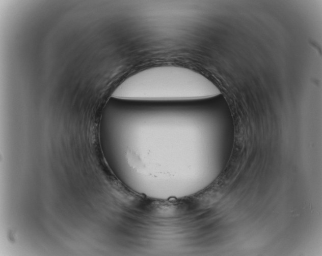 X0000096190658200801181009