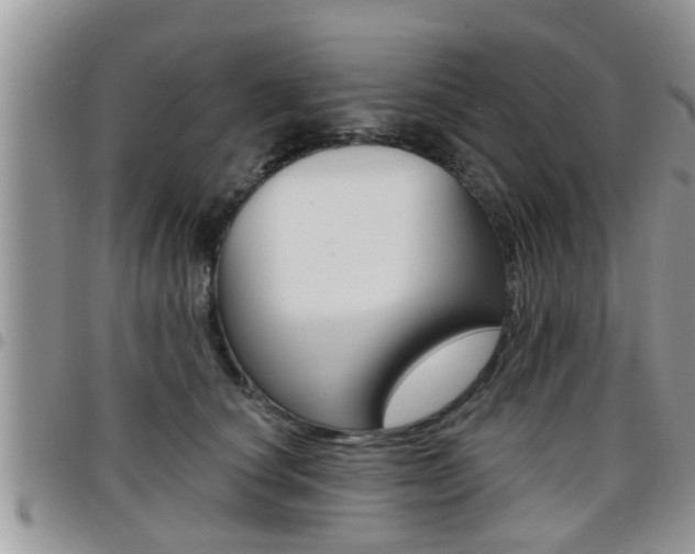 X0000096190660200801181009