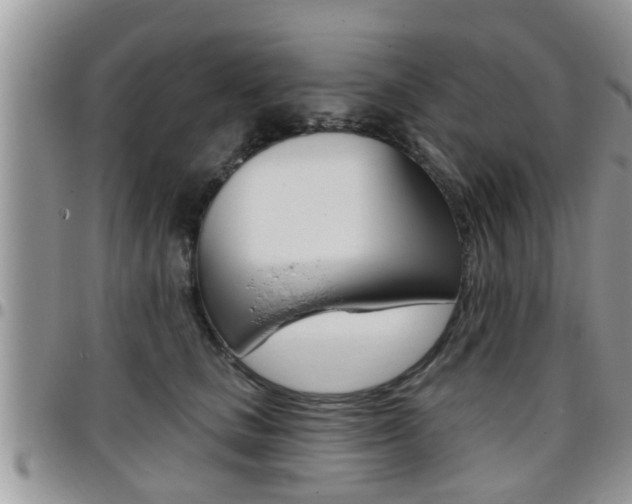 X0000096190661200801181009