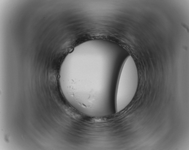 X0000096190662200801181009