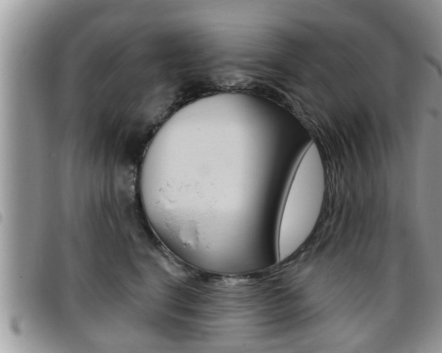X0000096190664200801181009